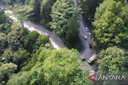 Primata unik di kawasan Tanjakan Sitinjau Lauik