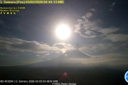 Semeru kembali alami erupsi dengan letusan setinggi 700 meter