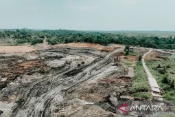 Jebakan fiskal Kaltim di balik transisi ke energi hijau