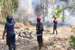 Antisipasi karhutla, BPBD Sulteng berlakukan status siaga di Parigi Moutong