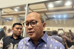 CEO Danantara sebut 6 proyek hilirisasi 'groundbreaking' pada 6 Februari