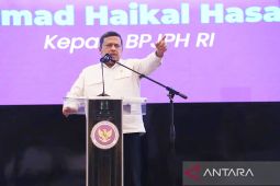 BPJPH: pendampingan bagi UMK penting jelang wajib halal 2026