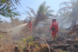 Tiga daerah di Riau ditangani Manggala Agni untuk lemadaman karhutla