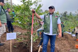 Bupati Bogor ajak daerah hilir ikut jaga hulu Sungai Ciliwung di kawasan Puncak