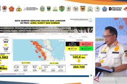 Sumatra recovery: 27 regions return to normalcy, task force says