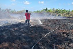 BMKG deteksi lonjakan 160 titik panas di Provinsi Riau