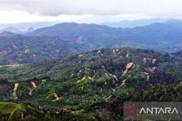 Pasca bencana, survei temukan 330 titik longsor di Hulu Sungai Garoga dan Siondop Tapsel