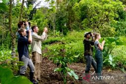 Banjir Bandang Batang Toru hentikan ekowisata, wisatawan asing batal berkunjung