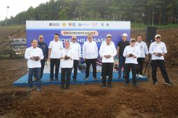 ID FOOD tegaskan hilirisasi ayam beri dampak baik ke ketahanan pangan