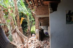 Sejumlah rumah di Ponorogo rusak terdampak gempa Pacitan