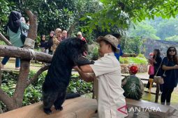 Pemkot Bandung jamin gaji karyawan Bandung Zoo selama masa transisi