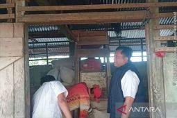 Bulog Belitung siap serap gabah dan beras petani