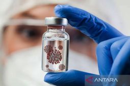 Kemenkes: Periode terpapar hingga timbul virus nipah 4-14 hari