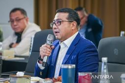 Menekraf tegaskan potensi strategis ekraf dalam lanskap ekonomi baru