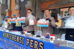 Polda Bali bongkar penyeludupan 12 kg kokain oleh WNA