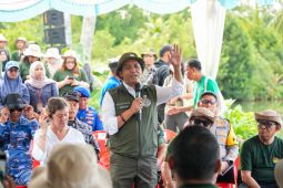 Menhut pastikan tambak aman meski ditanami mangrove