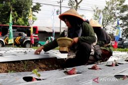Petani menjadi garda terdepan jaga ketahanan pangan di Temanggung