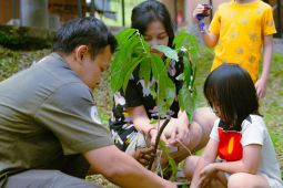 Bobocabin ajarkan peduli lingkungan kepada keluarga yang menginap