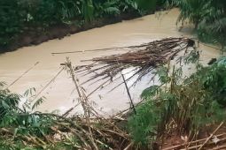 Cemaran aliran kali Tangsel diduga dari gudang pestisida terbakar