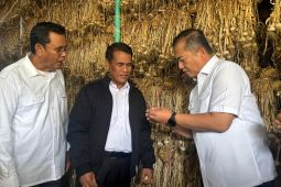 Mentan: NTB jadi pusat komoditas bawang putih dan jagung nasional