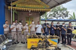 Bea Cukai-Sumut gagalkan ribuan kulit biawak selundup ke Malaysia