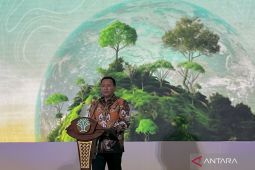 Wamenhut sebut sektor kehutanan pilar penting pembangunan ekonomi