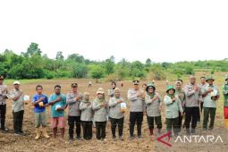 Polresta Ambon tanam 11,71 hektare jagung