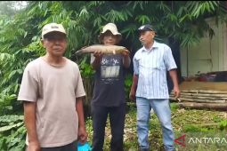 Masyarakat Tangerang diminta tak konsumsi ikan yang tercemar zat kimia