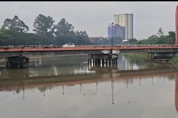 KLH kirim tim dalami dugaan cemaran pestisida di Sungai Cisadane