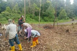 Dukung swasembada pangan, Polres Lebak tanam jagung seluas 38 hektare