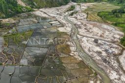 Distanbun Aceh evaluasi target produksi padi imbas bencana banjir