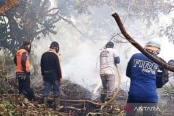 435 hektare lahan mineral di Kalbar terbakar