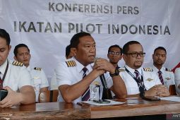 IPI desak pemerintah jamin keamanan penerbangan di Papua