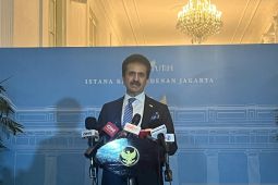 Pakistan dukung kepemimpinan RI di organisasi D-8