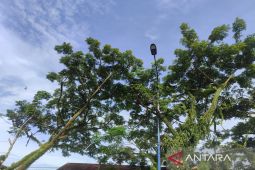 Pemkot Bengkulu pasang 17 lampu PJU di kawasan Pasar Subuh