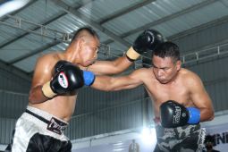 Tinju profesional Danlanal Banyuwangi Cup