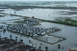 Pemkab Bekasi usahakan 217 ton benih untuk petani terdampak banjir