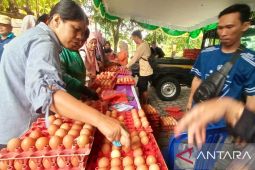 Gerakan Pangan Murah DPKP Babel libatkan lima distributor dan belasan pelaku UMKM