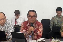 Indonesia pastikan akan ada sesi khusus isu Palestina di KTT D-8 2026