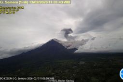 Gunung Semeru lima kali erupsi disertai tiga kali luncuran awan panas guguran