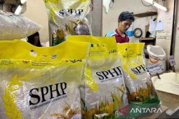 Bapanas pacu SPHP beras dan jagung jaga stabilitas harga pangan