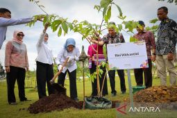 Otorita terus tanam pohon guna jadikan IKN kota hutan berkelanjutan