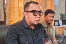 Pemkab Nagan Raya mulai salurkan 80 ternak bantuan presiden senilai Rp1,45 miliar