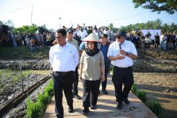 Kementan alokasikan Rp336 miliar rehabilitasi sawah di Sumatera