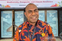 Akademisi Universitas Papua sebut PSN di Tanah Papua harus akomodasi empat hal utama