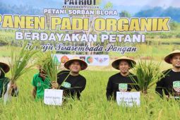 GP Ansor panen padi organik sekaligus tanam 3.000 pohon kelapa di Blora Jateng