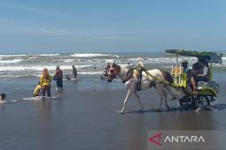 SAR Parangtritis memetakan 15 titik rip current hingga Pantai Depok
