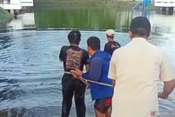 Bocah 9 tahun tewas tenggelam di Embung Sejuk Cipayung Jaktim