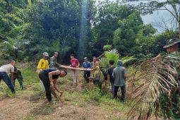 Satgas TMMD ke-127 Basel bersihkan badan jalan