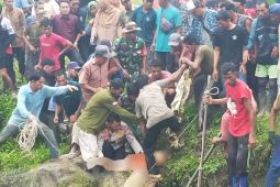 Wanita pencari lokan meninggal dunia diterkam buaya